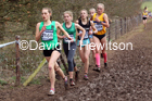 Womens under-17s, 2020 British Athletics Inter Counties Cross Country Champs., Prestwold Hall, Loughborough. Photo: David T. Hewitson/Sports for All Pics